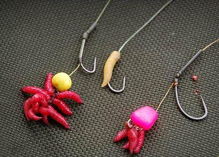 Vine iarna - nicolas-levine-3.jpg